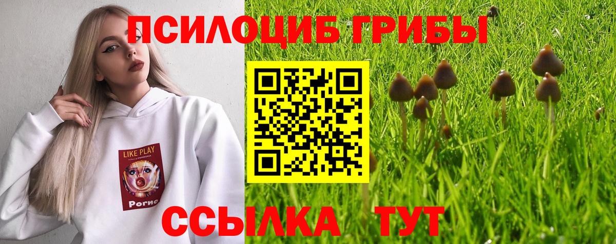 Галлюциногенные грибы Psilocybe  Вход с VPN  Галлюциногенные грибы ЛСД  Краснокаменск 